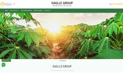 وبسایت شرکت Eaglle
